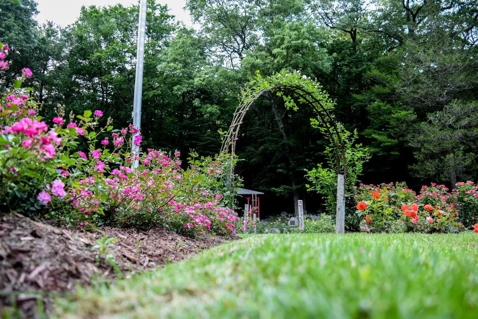 Veterans Memorial Rose Garden