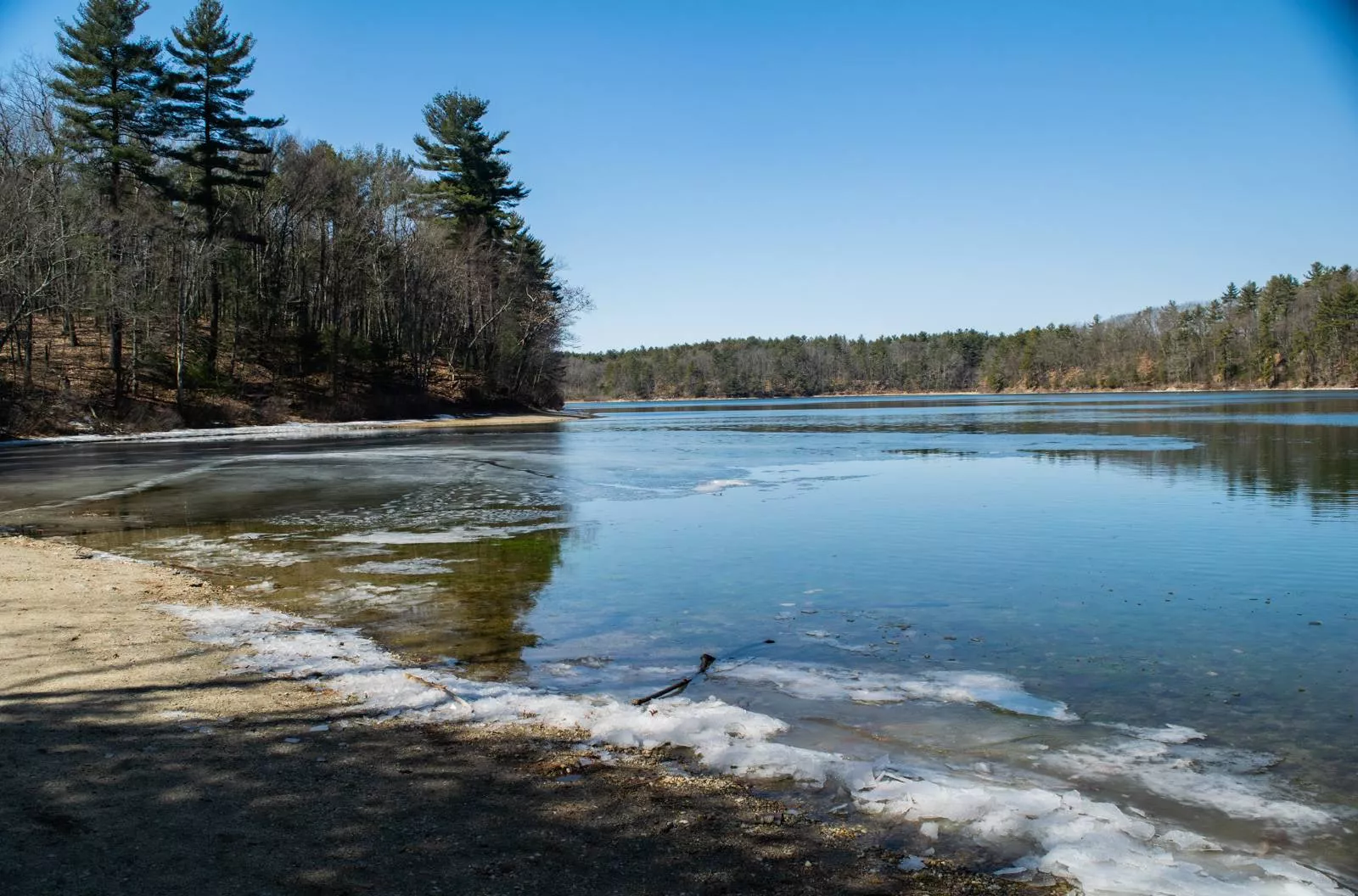 Ice Rimmed Surface of Walden Pond