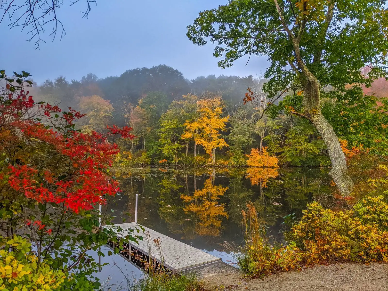 Closing Campsite Lake Williams Fall Colors 2021 16