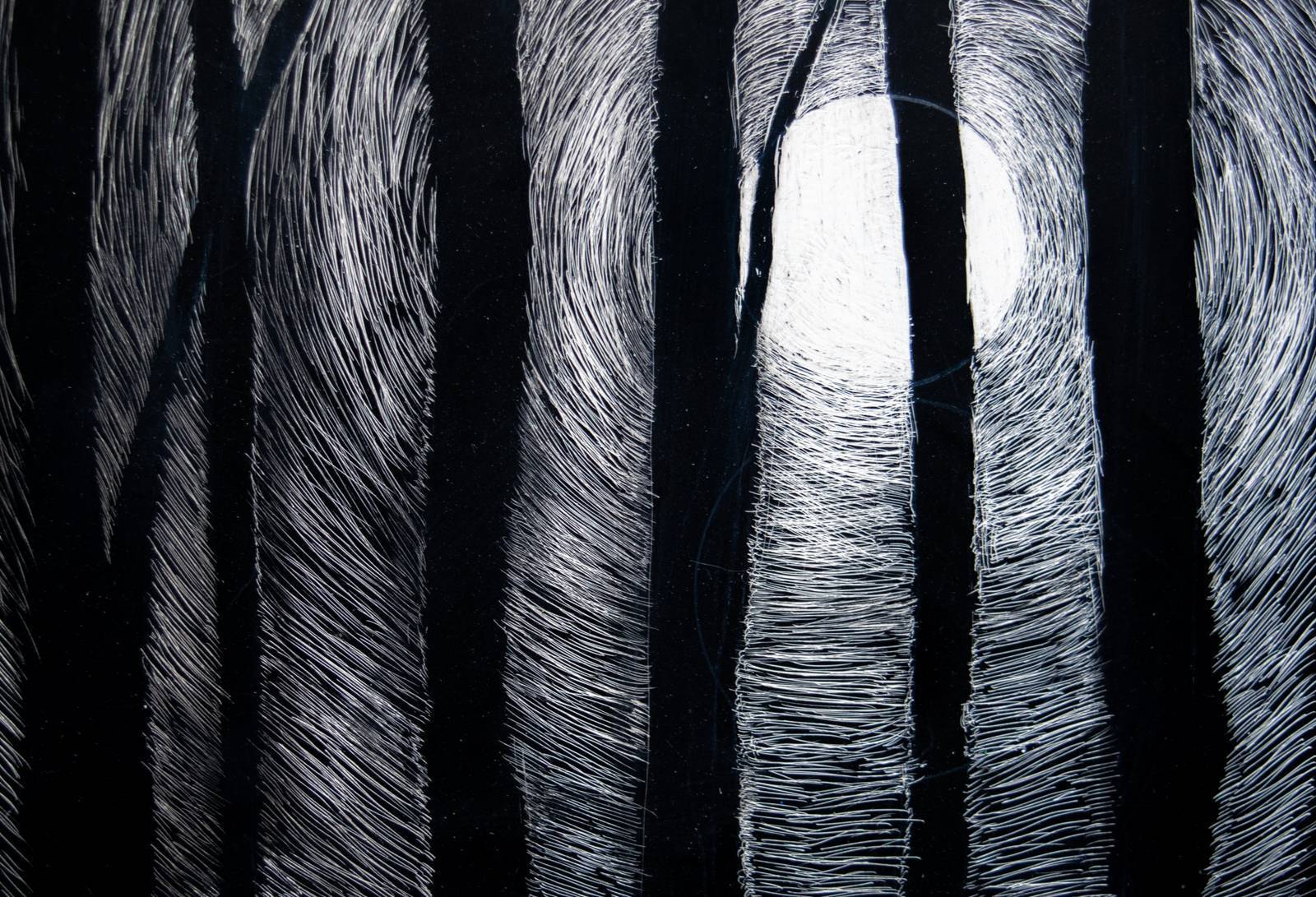 Trees Silhouette Against Moon Scratchboard