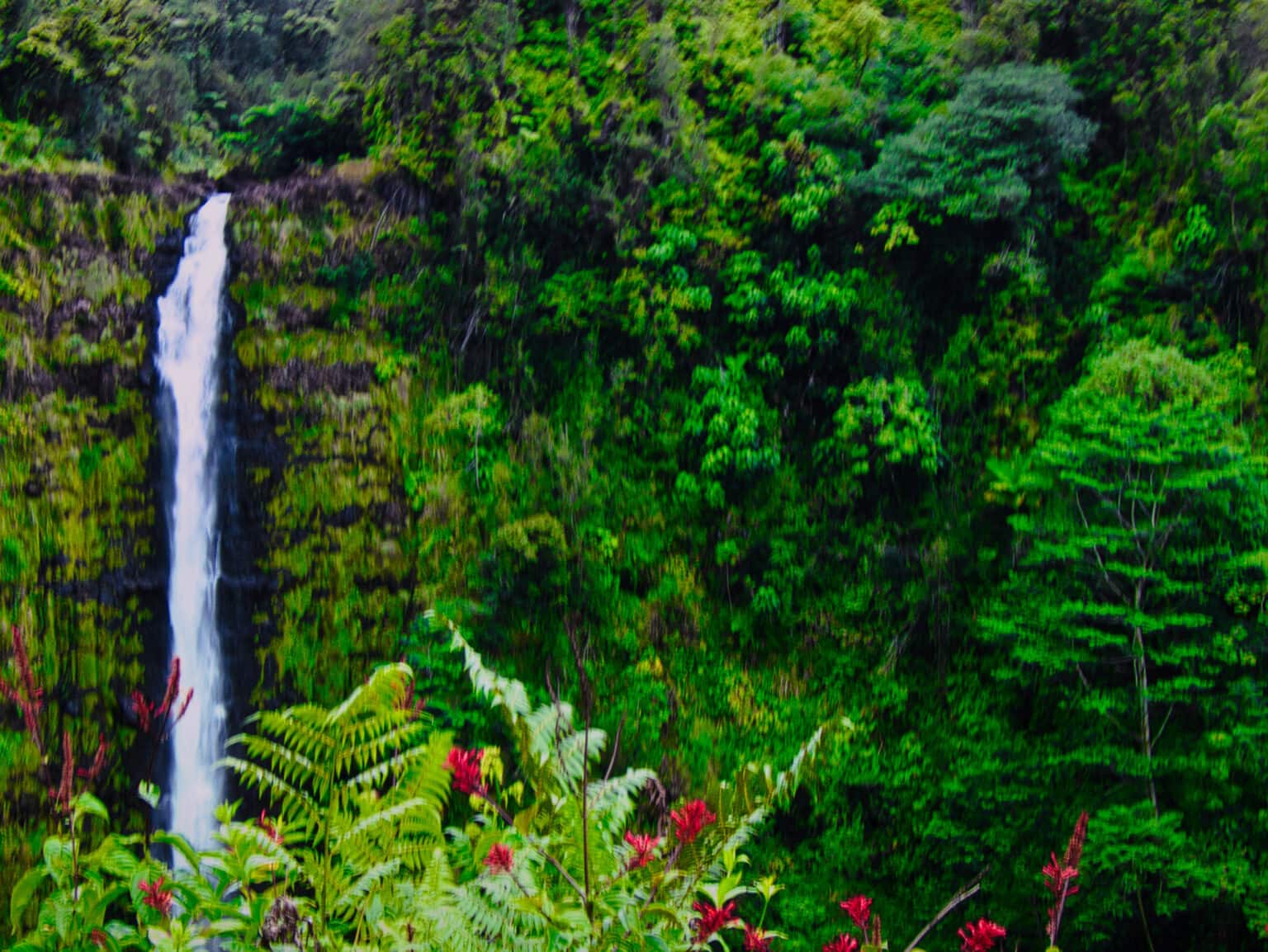 The 442-Ft Akaka Falls Is The Second One On The Trail