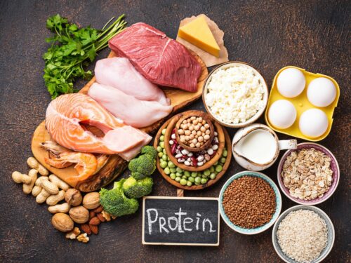 protein and fat loss