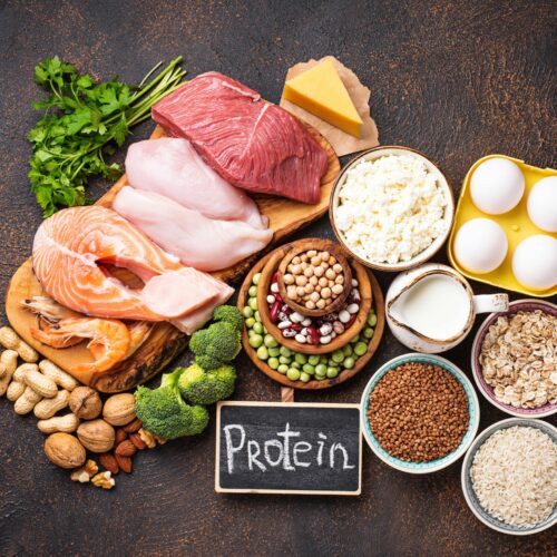 protein and fat loss