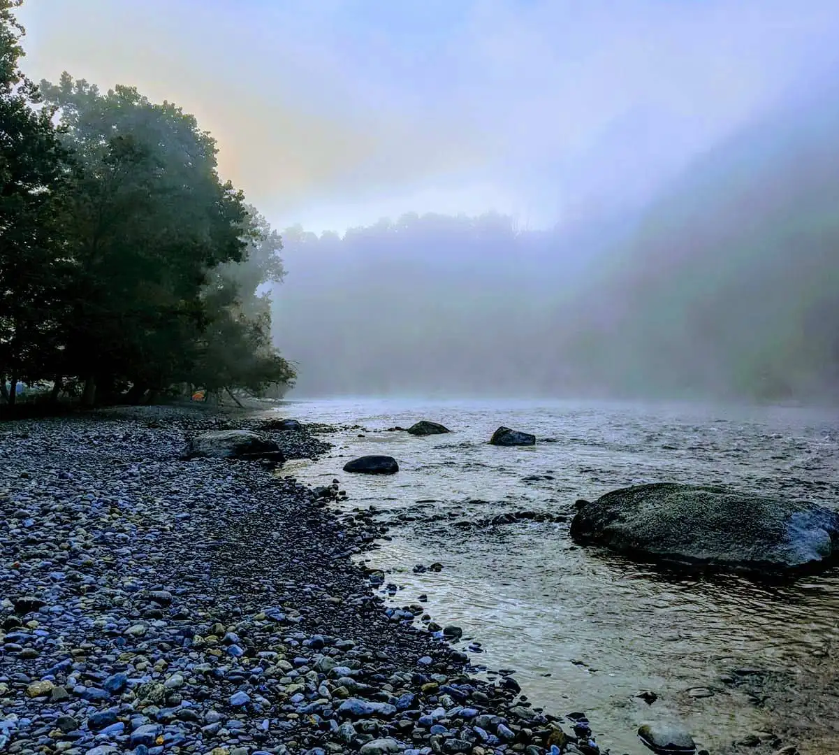 Walking Wonder 1 Misty River