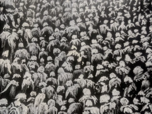 Herdscape - White Charcoal on Black Paper